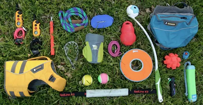 Gear For Dog Training