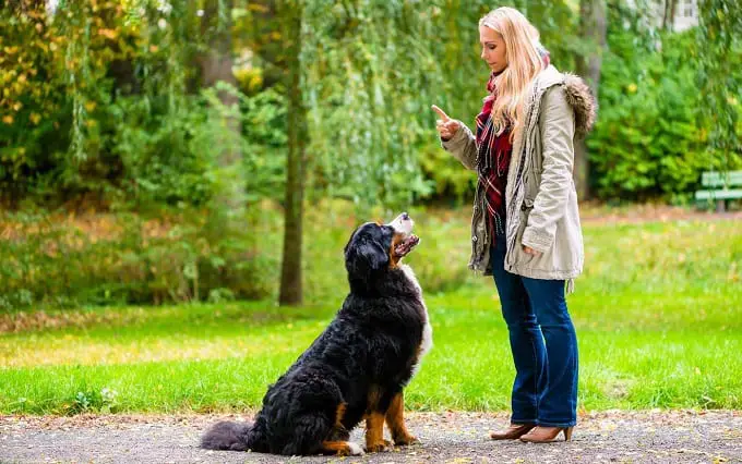 Woman Training Her Dog