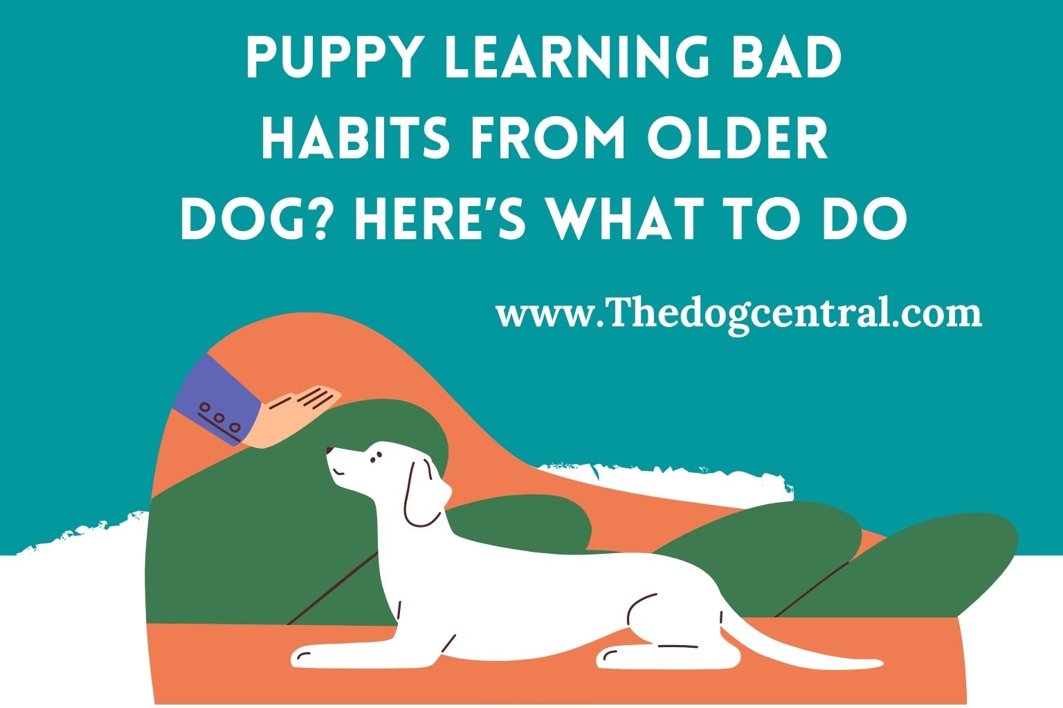 Puppy Learning Bad Habits From Older Dog