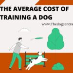 The Average Cost Of Training A Dog