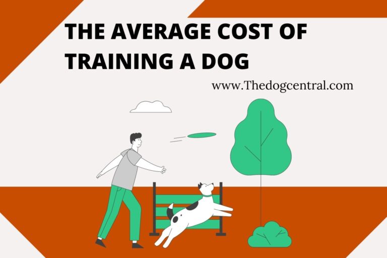 The Average Cost Of Training A Dog