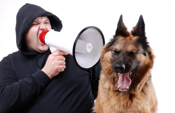 Man Yelling At Dog