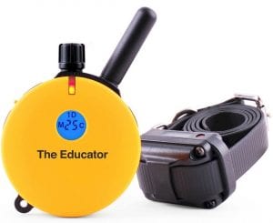 Educator E-Collar Remote Dog Training Collar Review