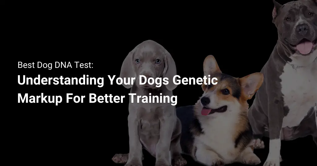 Best dog dna test