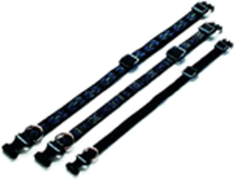 The Best Dog Collars For Arthritis (3 Surprised Me)