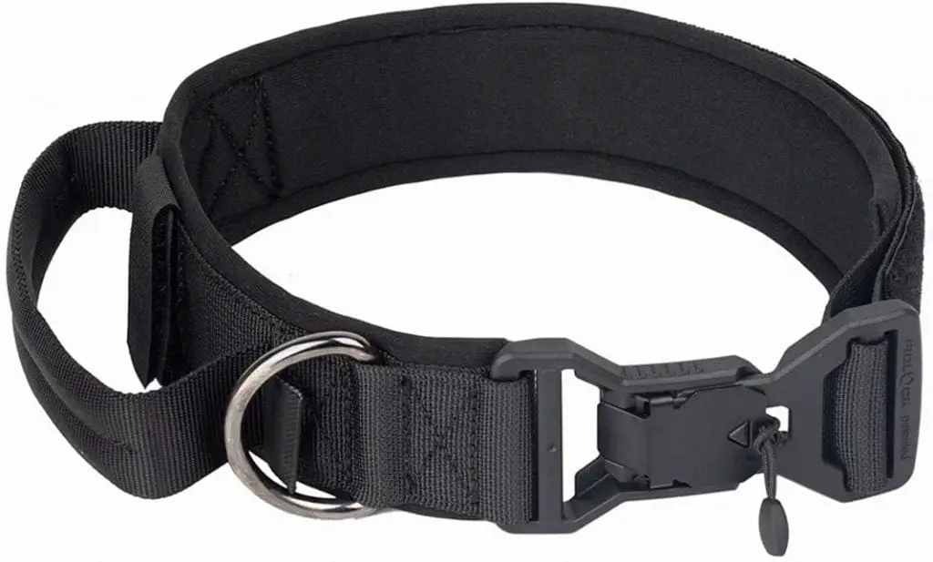 are magnetic dog collars any good