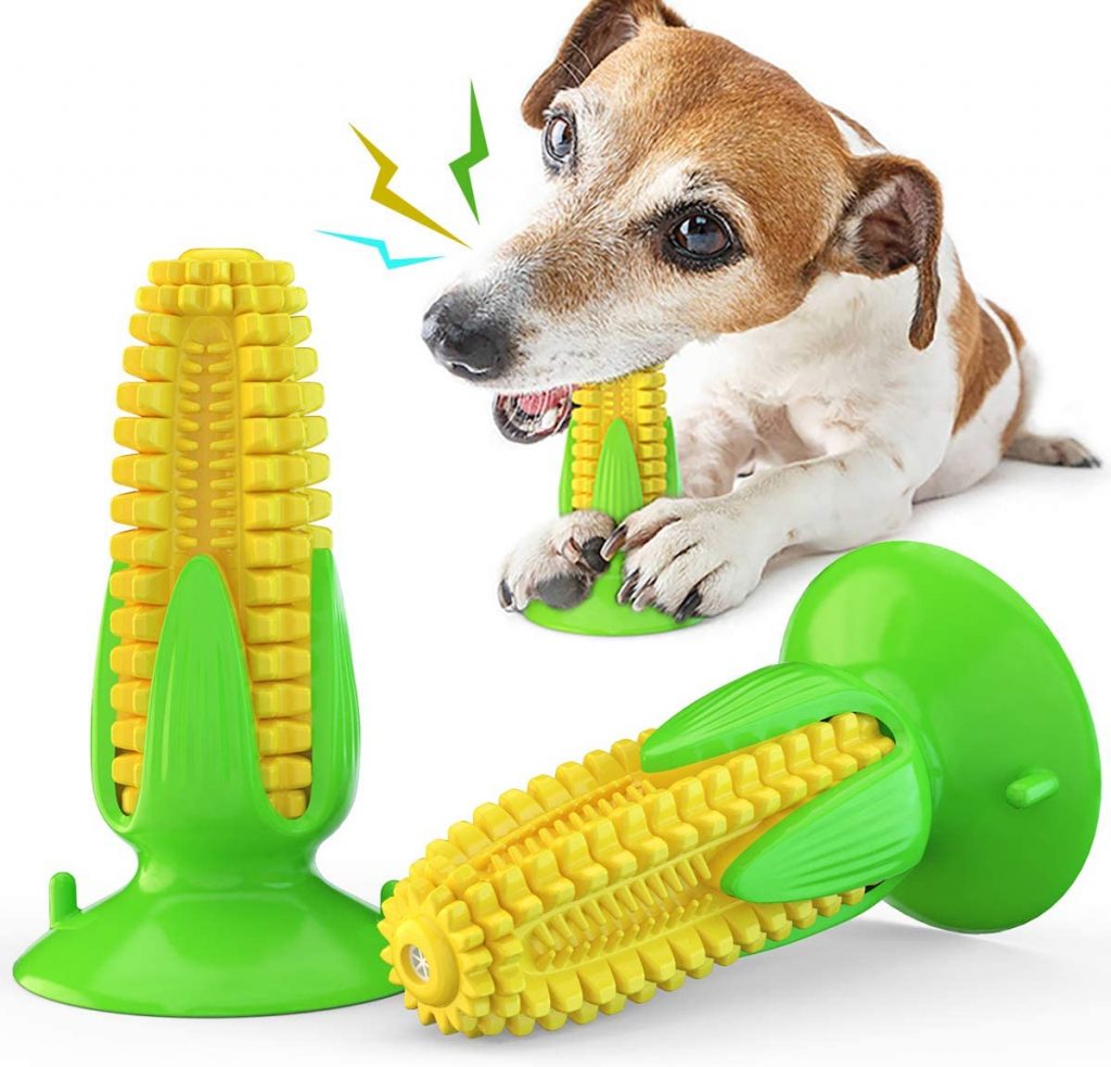 INSHERE Squeaky Dog Toothbrush Toy