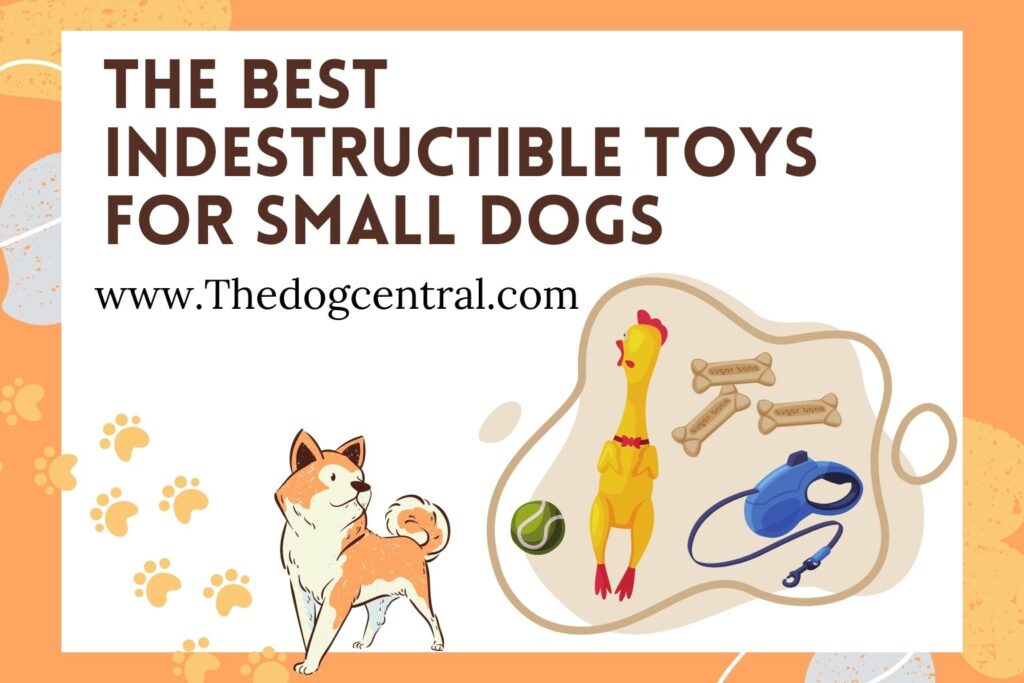 The Best Indestructible Toys for Small Dogs (The Only Guide You Need)