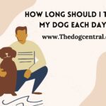 How Long Should I Train My Dog Each Day?