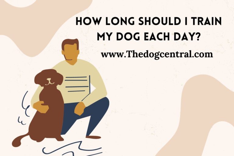 How long should I train my dog each day_