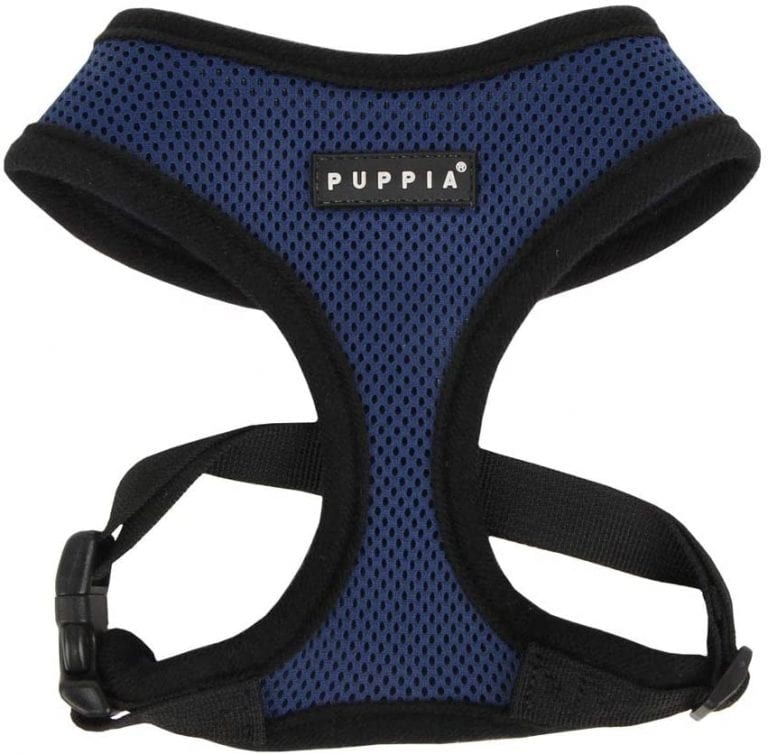 The Best Dog Harnesses for Pulling and Lunging [Honest Review]