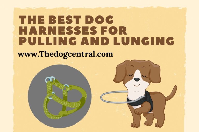 The best dog harnesses for pulling and lunging