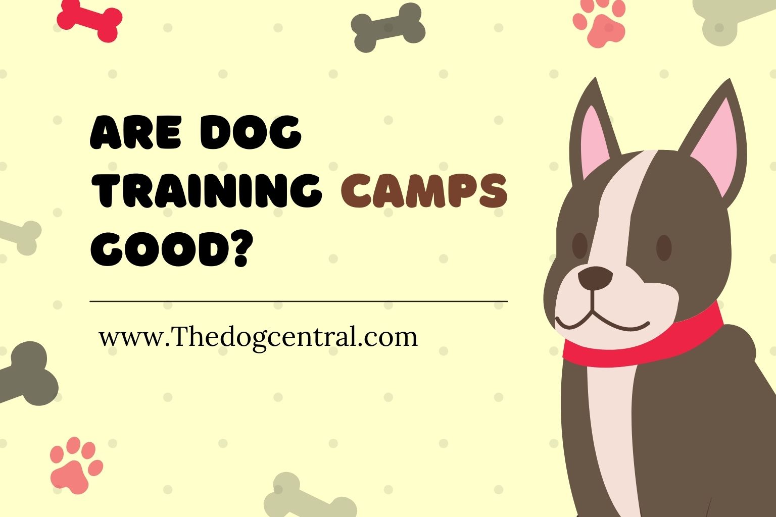 are dog training camps good