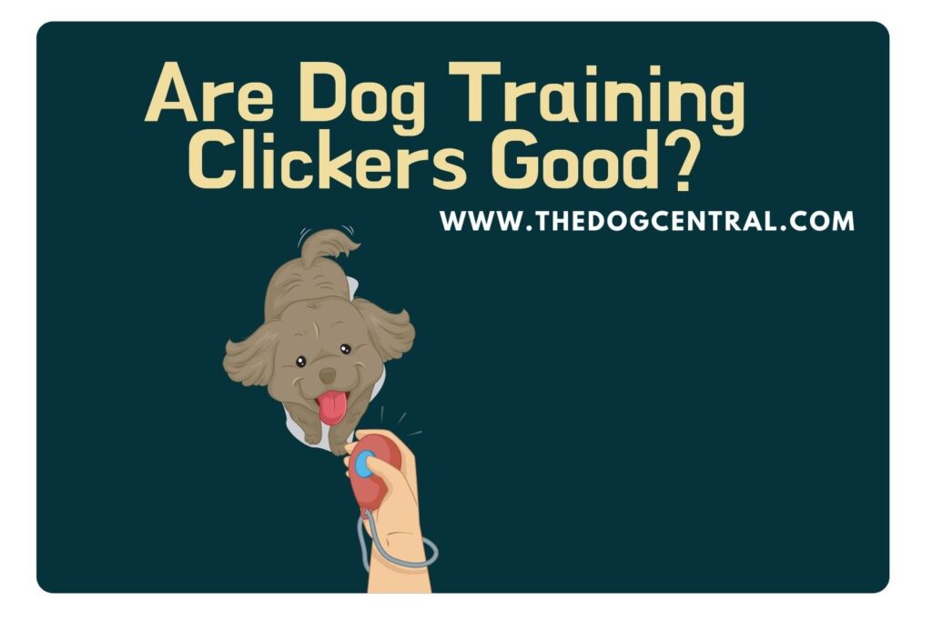 Are Dog Training Clickers Good? Guide) The Dog Central