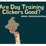 Are Dog Training Clickers Good?