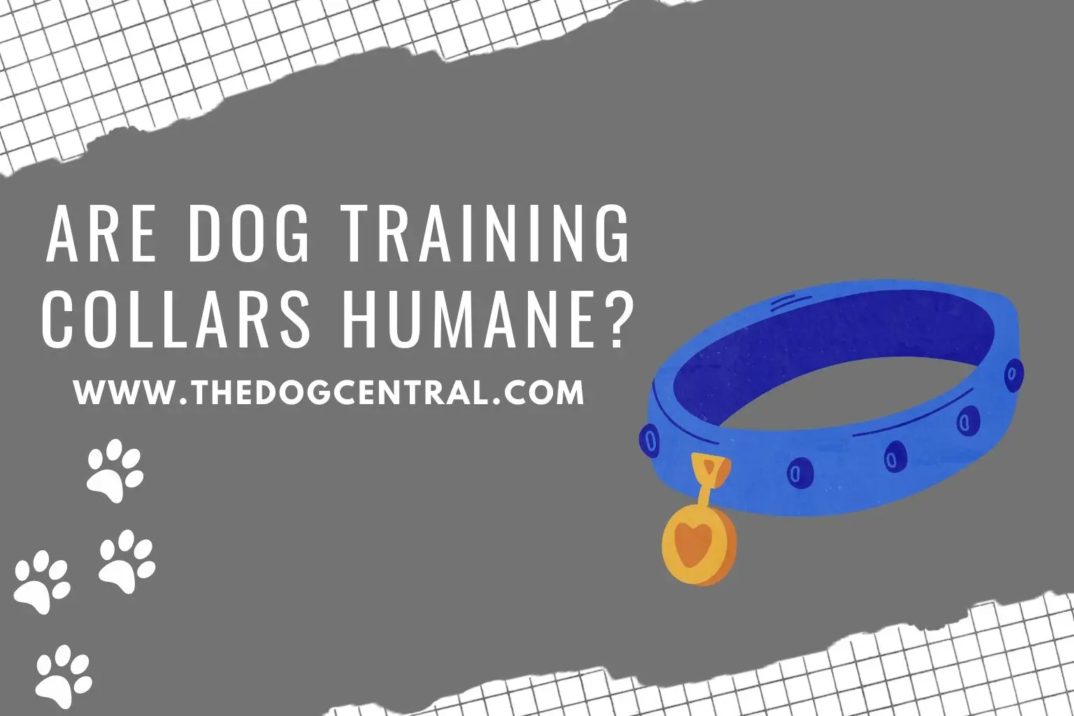 are dog training collars humane_