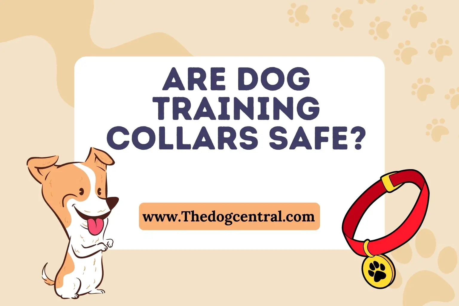 are dog training collars safe