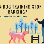 Can Dog Training Stop Barking?