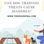 Can Dog Training Treats Cause Diarrhea?