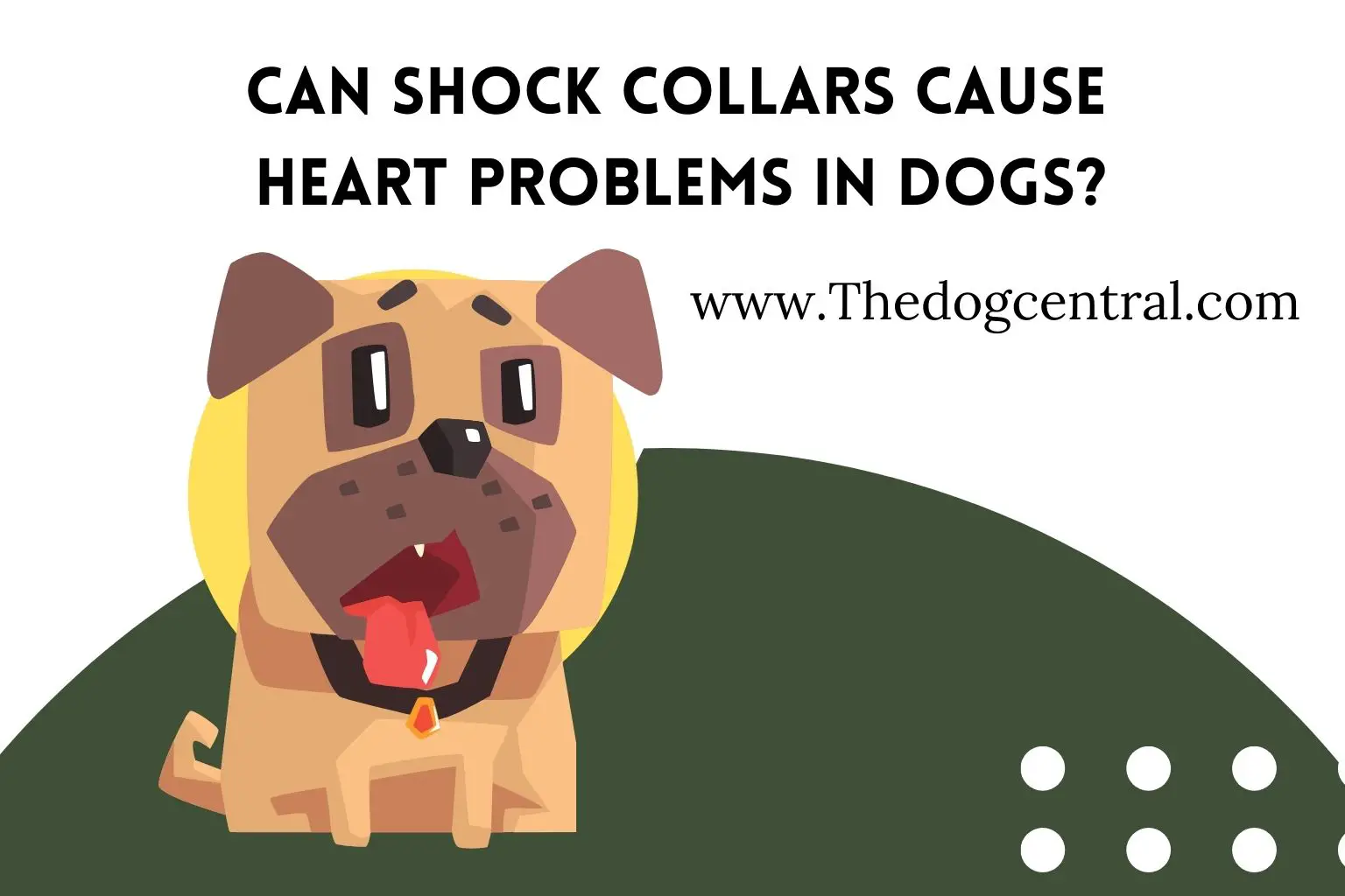 can shock collars cause heart problems in dogs