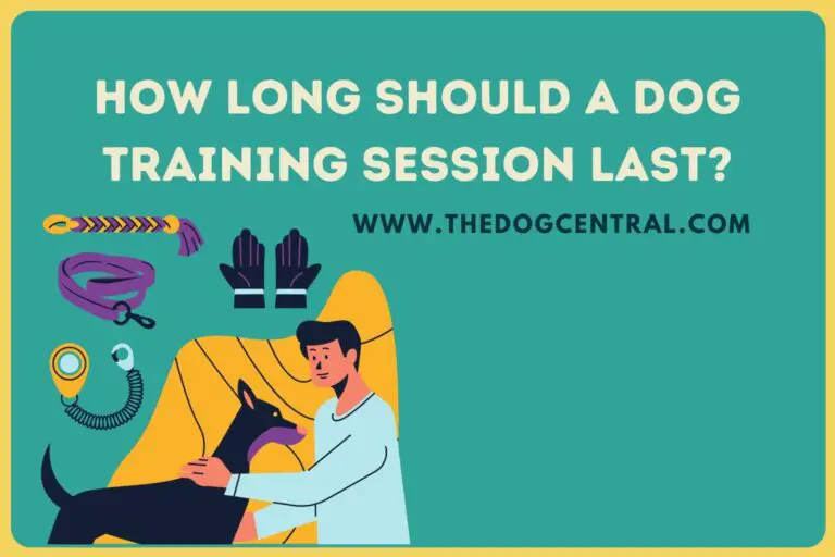 how long should a dog training session last_
