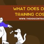 What Does Dog Training Cost?