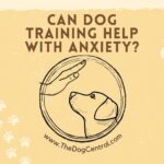 Can Dog Training Help With Anxiety?