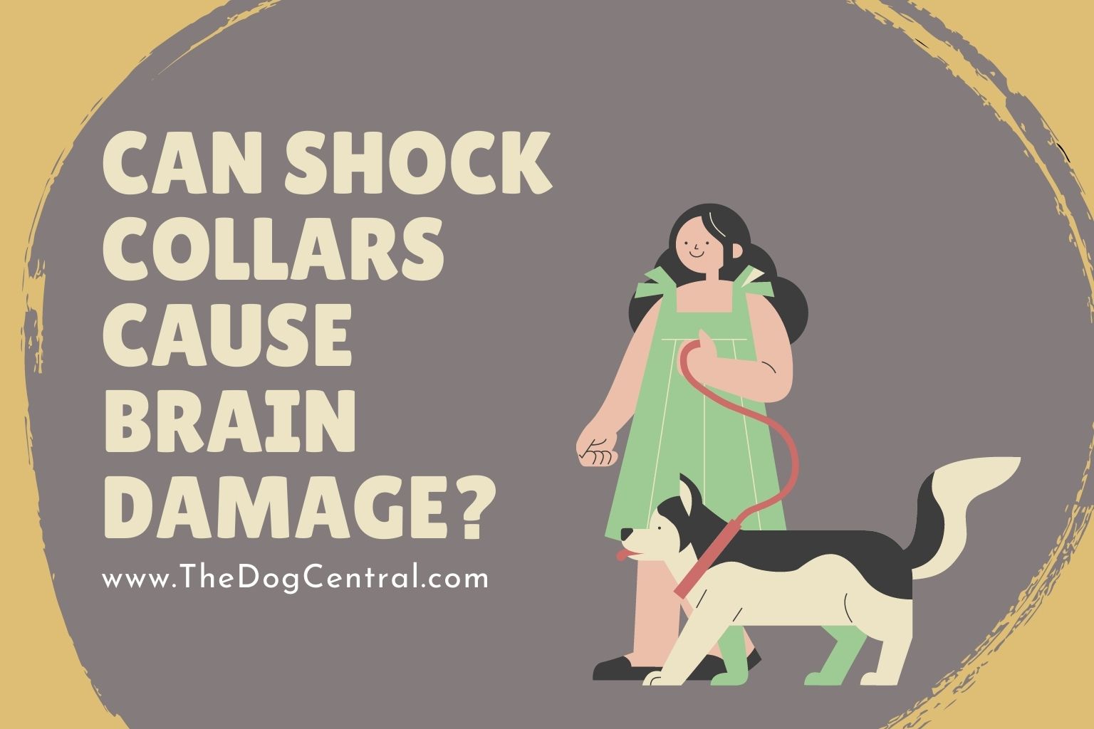 can shock collars cause brain damage