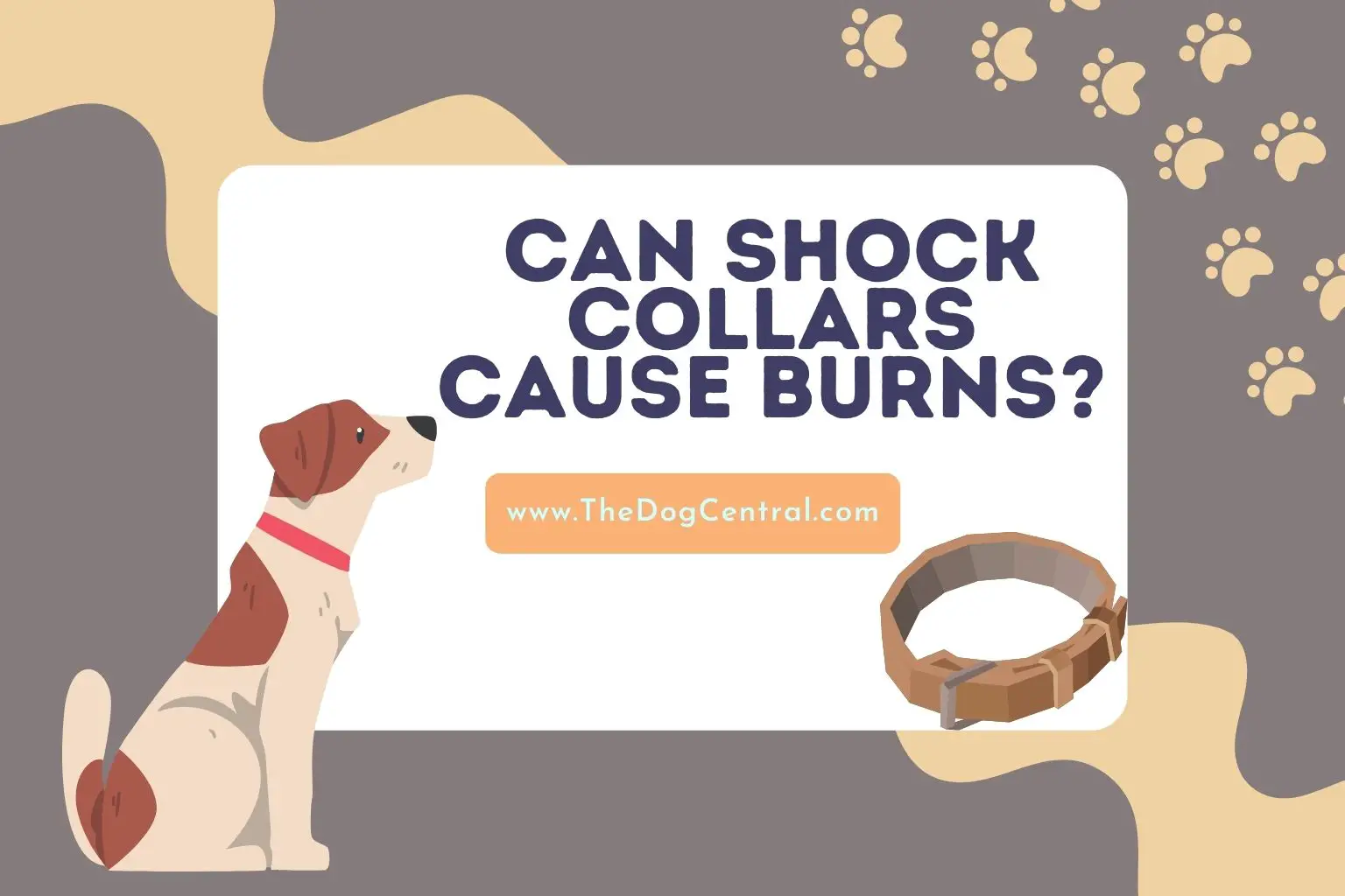 can shock collars cause burns