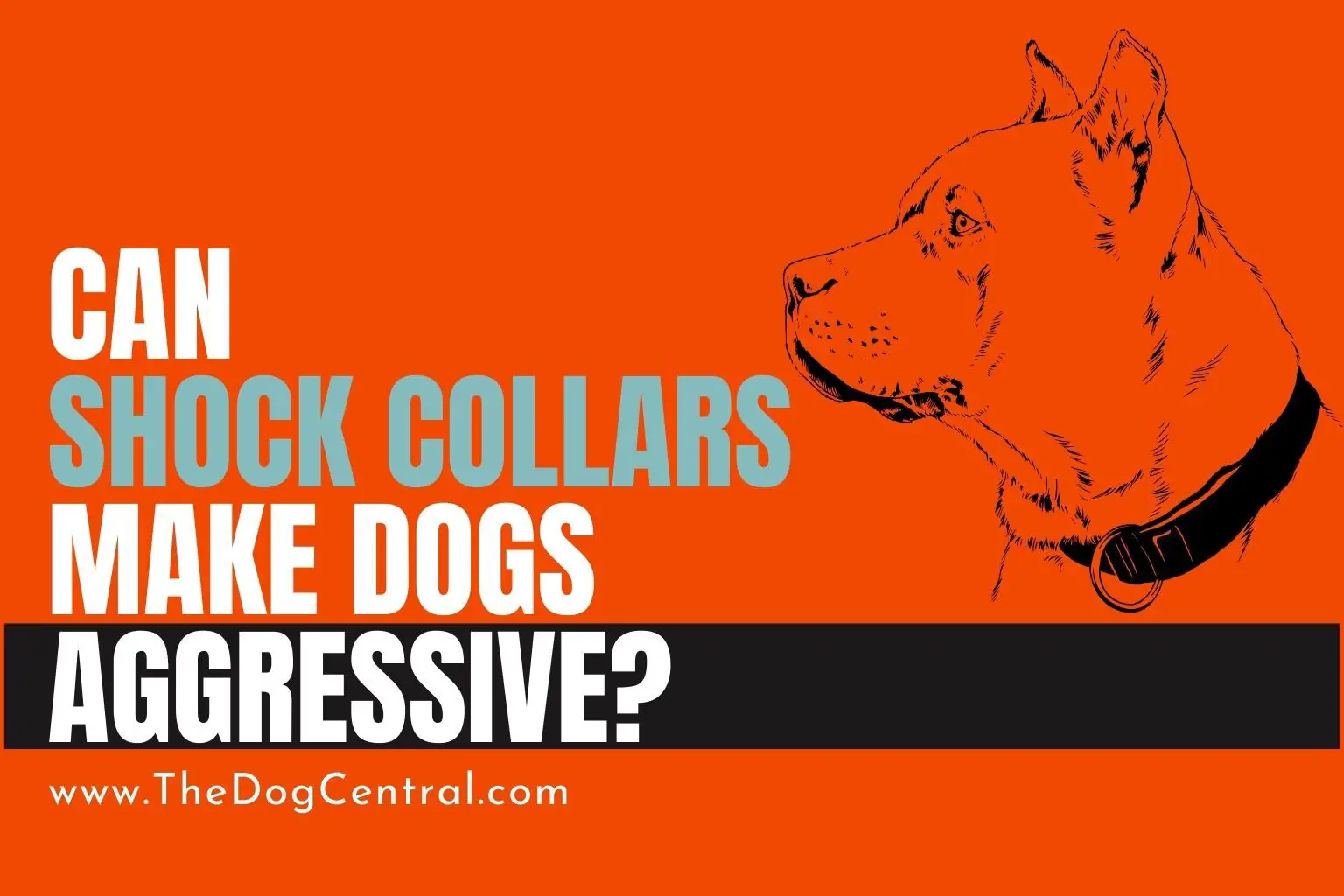 can shock collars make dogs aggressive