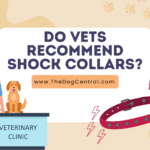 Do Vets Recommend Shock Collars?