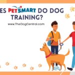 Does Petsmart Do Dog Training?
