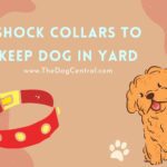 Shock Collars to Keep Dogs in the Yard