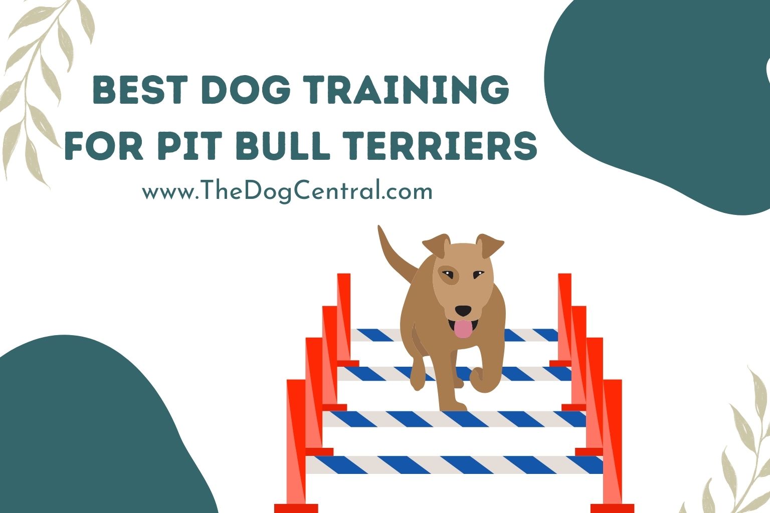 Best Dog Training For Pit Bull Terriers