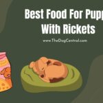 Best Food For Puppy With Rickets