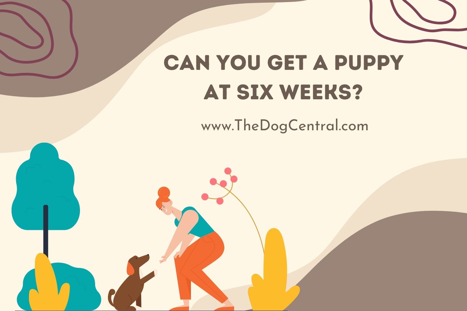 Can You Get a Puppy at Six Weeks