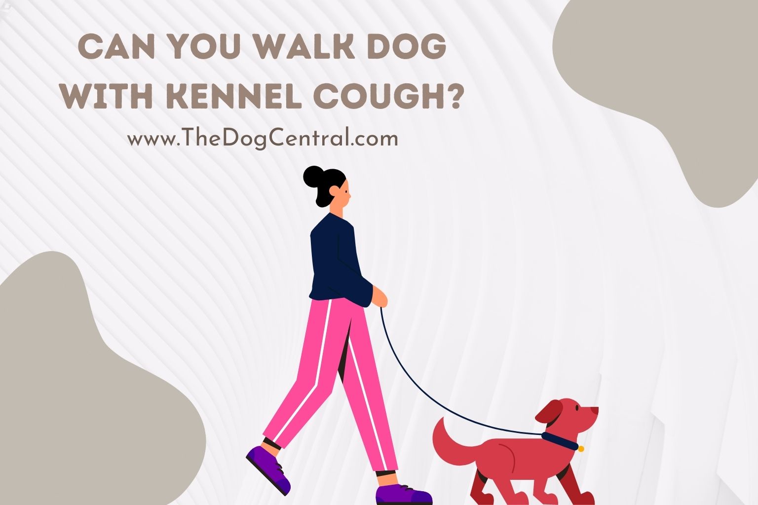 when-you-take-your-dog-for-a-walk-by-lkim-nira-yerlikaya-on-dribbble