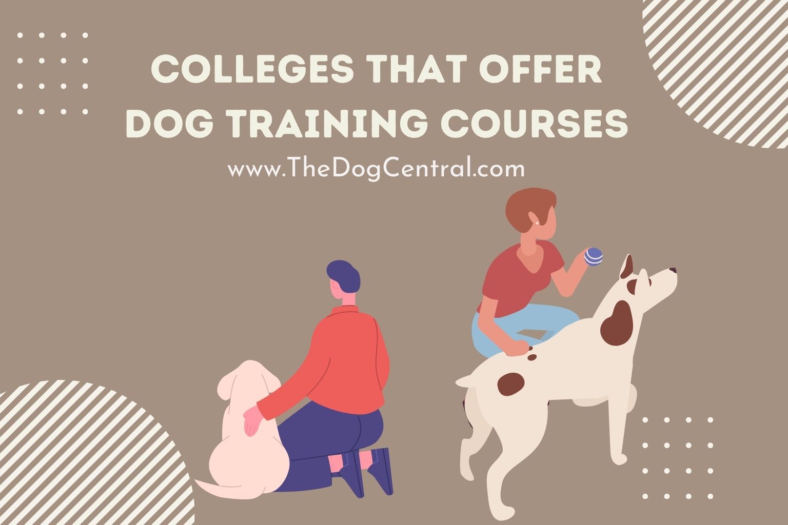 Colleges That Offer Dog Training Courses