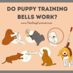 Do Puppy Training Bells Work?