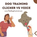 Dog Training Clicker Vs Voice