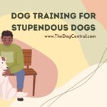 Dog Training For Stupendous Dogs