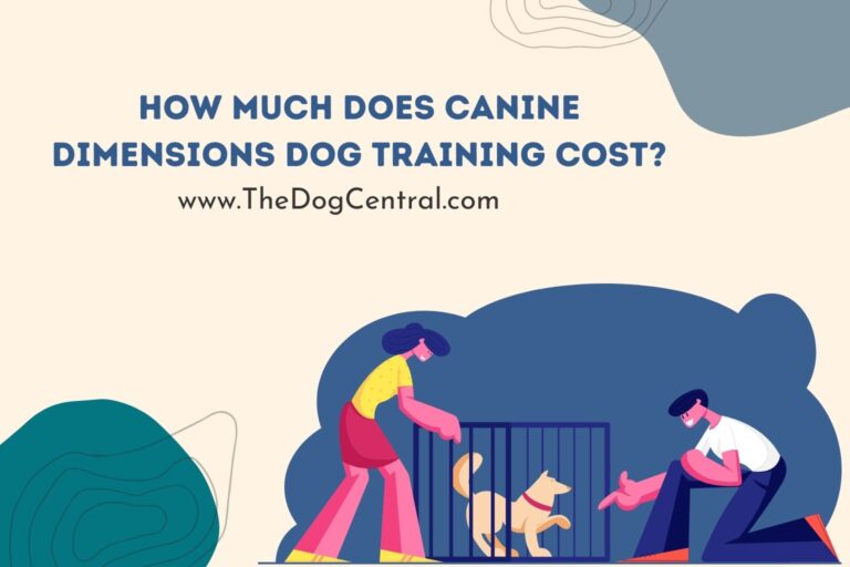 How Much Does Canine Dimensions Dog Training Cost_