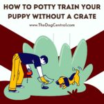 How to Potty Train Your Puppy Without a Crate?