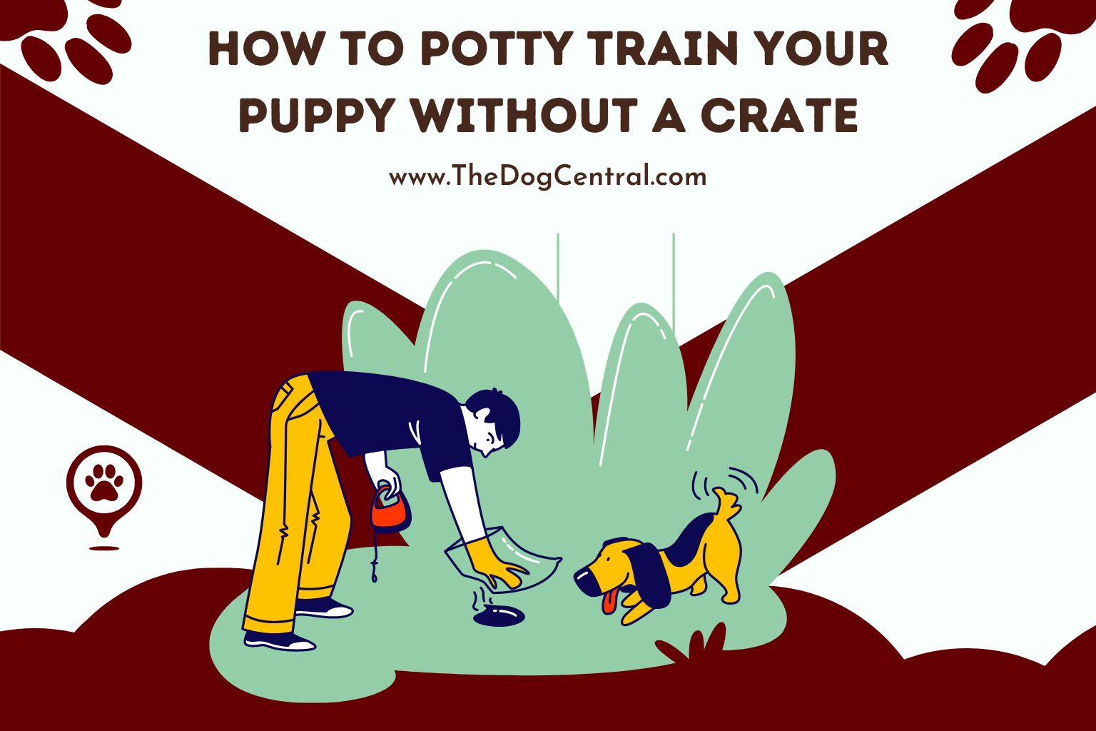 How to Potty Train Your Puppy Without a Crate