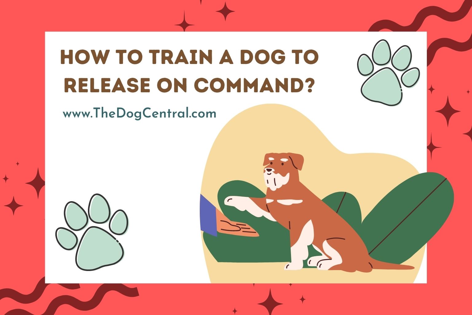 how-to-train-a-dog-to-release-on-command-the-dog-central