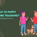 What Is Puppy Culture Training?