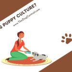 What is Puppy Culture?