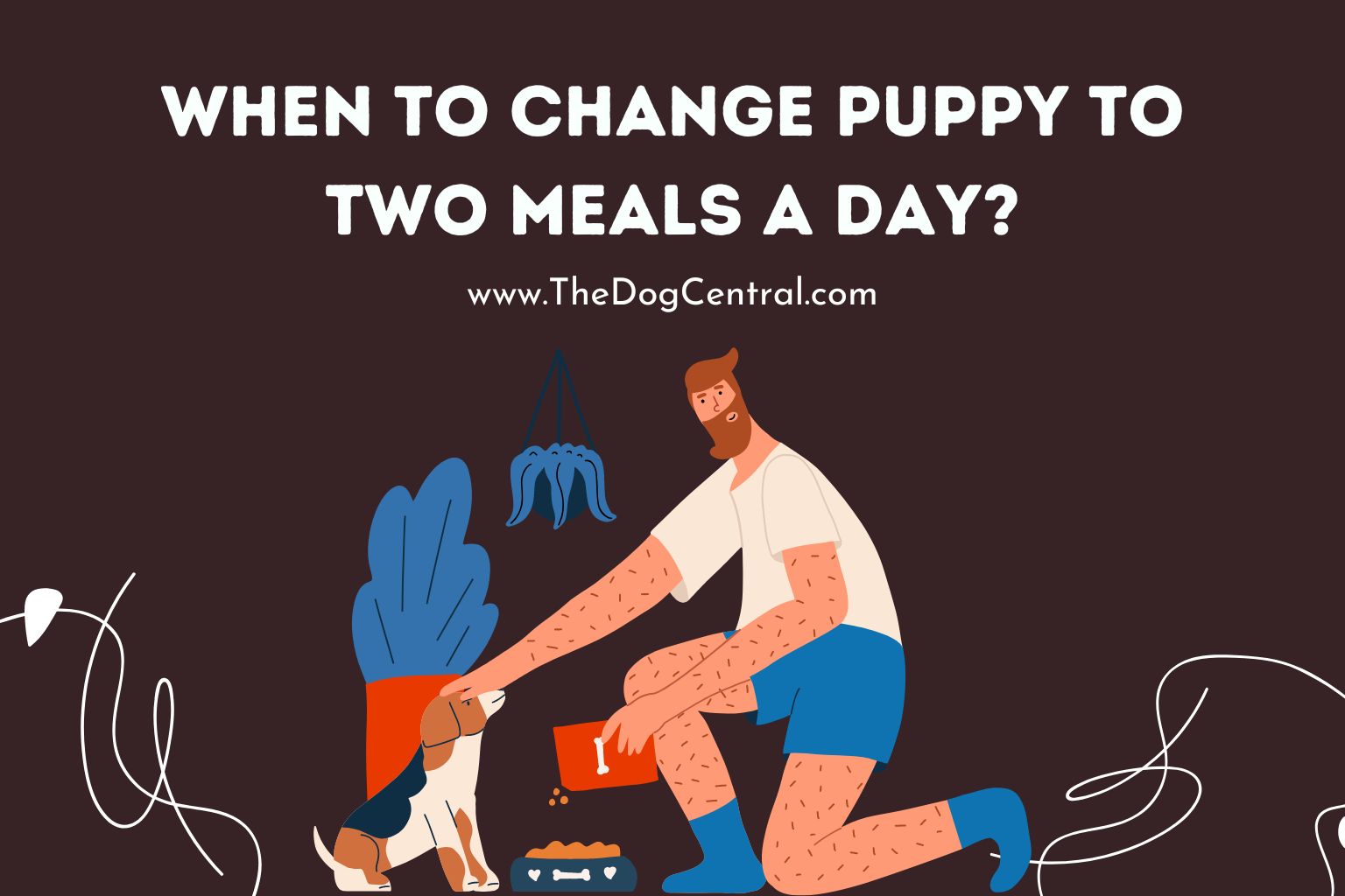 When to Change Puppy to Two Meals a Day