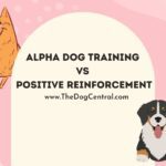 Alpha Dog Training Vs Positive Reinforcement