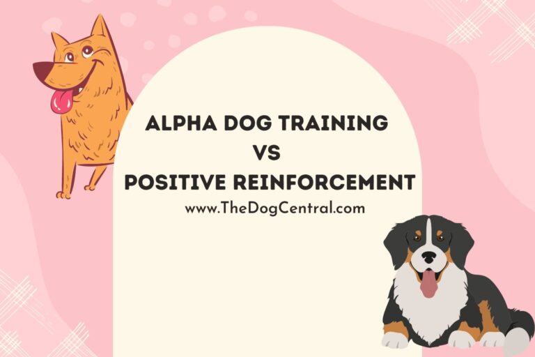 alpha dog training vs positive reinforcement